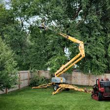 Artificial Turf Installation in Auburn, KY